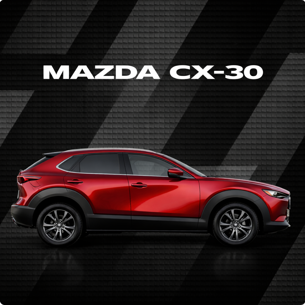 CX 30 New